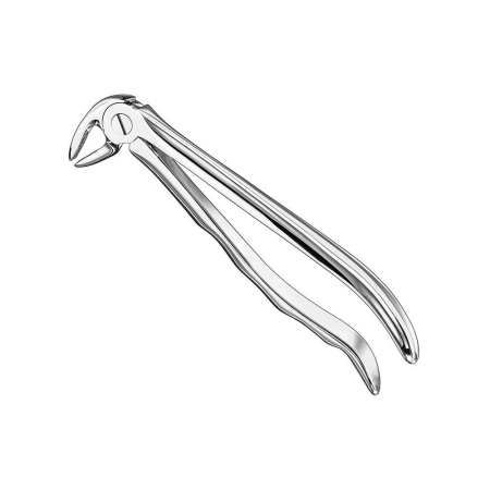 Extracting forceps, anat.